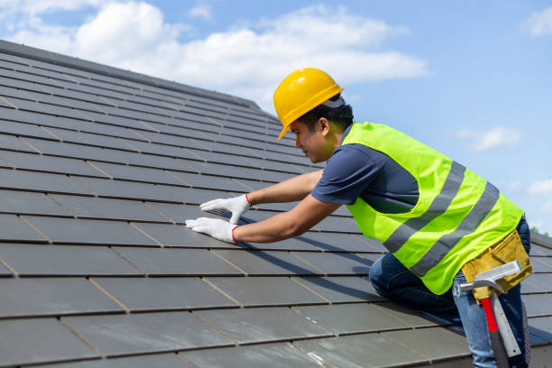 Best Commercial Roofing Services  in River Ridge, FL