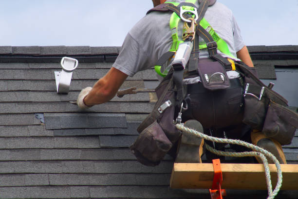 Best Storm Damage Roof Repair  in River Ridge, FL