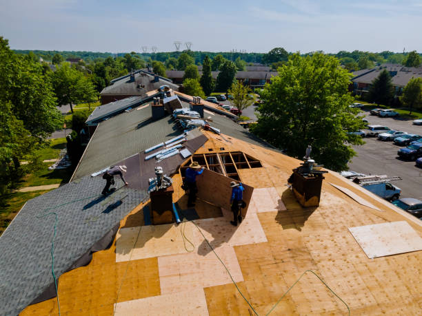 Quick and Trustworthy Emergency Roof Repair Services in River Ridge, FL