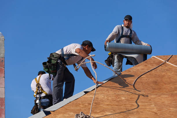 Best Roof Leak Repair  in River Ridge, FL