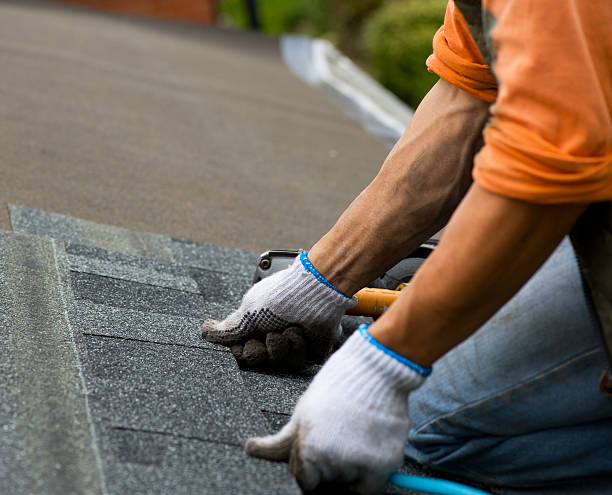Best Residential Roofing Contractor  in River Ridge, FL